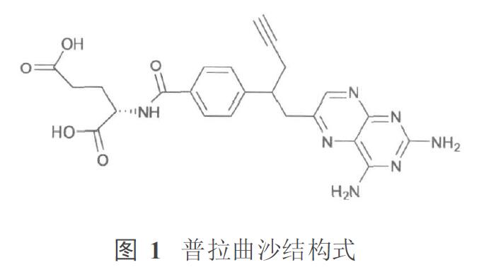 1551317445834257.jpg 普拉曲沙.jpg